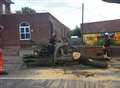 Traffic chaos after tree branch falls onto town centre road