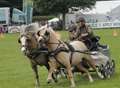 Crowds flock to county show