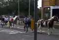 VIDEO: See the moment horses come clattering into busy High Street