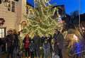 Pub's giant tree will raise funds for new pre-school