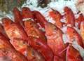 Pressure group attacks council over wet fish stall