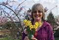 Green-fingered therapy helping hospice patients