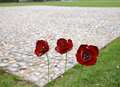 Shepway remembers: Fallen heroes to be honoured this weekend