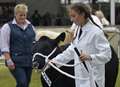 County show attracts 80,000 visitors
