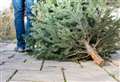 Christmas tree collection service faces chop over climate concerns