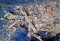 Bones of 'six bodies' buried in black bags