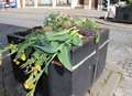 Town's flowers trashed by vandals