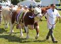 Organisers reveal gate numbers for County Show