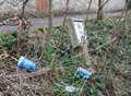 Highways England pushed to stop litter on Kent roadsides