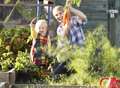 Grab yourself an allotment in Kent