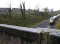 Delays after train hits shopping trolley