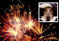 Top tips to calm your pets this firework season