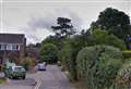 'Thieves' caught crouching in bushes and garden shed