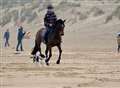 Dog attacks horse and rider on beach