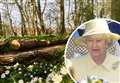 New woodland 'fitting and lasting tribute' to Queen