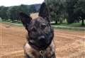 Praise for police dog that found suspected thief