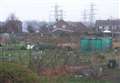 Allotments hit by fruit and veg raids