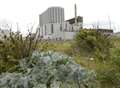 Nuclear reactor shut down amid fears of Fukushima disaster