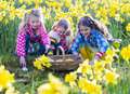 Unwrap some Easter holiday fun across the county
