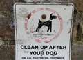 Dog poo epidemic plagues city's parks and pavements