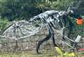 Dinosaur stripped of Halloween fancy dress in health and safety row