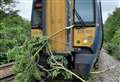 Disruption after fallen tree blocks railway line