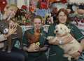 Help abandoned pets have some festive fun 