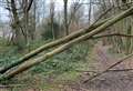 Council forced to shut woods after storm damage
