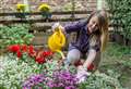 How to give your garden some planting power