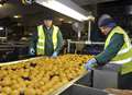 Spud company job success for Thanet's longterm unemployed