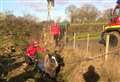 Horse winched to safety after being trapped in ditch