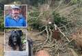 Dog walker almost crushed by huge tree reported ‘dangerous’ two years ago