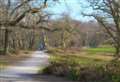 Crossing plan would 'destroy ancient woodland'