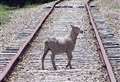 Sheep spark train delays