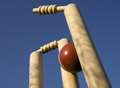 Brawl breaks out between players at village cricket match