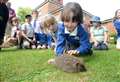 Schoolchildren set hedgehogs free
