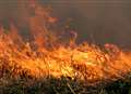 Fire sweeps grassland 
