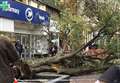 Huge tree topples over in shopping area