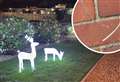 'Grinchy' vandal cuts outdoor Christmas lights