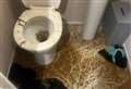 Mum in despair after blunder sees sewage spew from her toilet