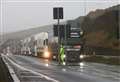 'Lorry drivers will regularly face four-hour queues'