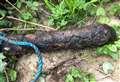Unexploded bomb found in river 