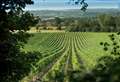 Vineyard land deal set to make it England's biggest
