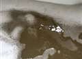 Residents wake up to brown water