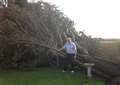 60ft tree uprooted by huge storms