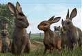 Festive TV: We preview the new Watership Down 