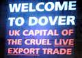 Animal export slogans "ill-judged and unhelpful" says Dover MP