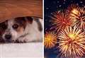 Fireworks display cancelled over animal safety concerns