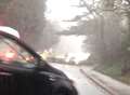 Fallen tree blocks road as freak weather hits county