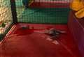 Bosses defend play centre branded 'filthy' by parents